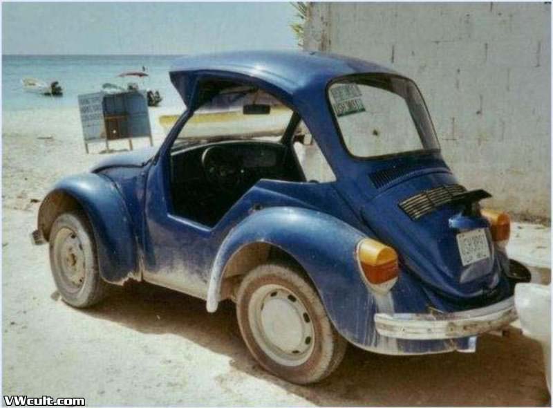 VW Beetle mutant