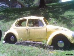 VW Beetle slim