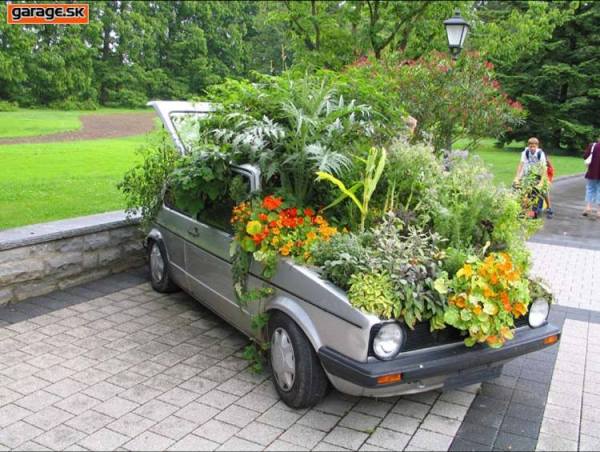 Volkswagen Golf for flowers